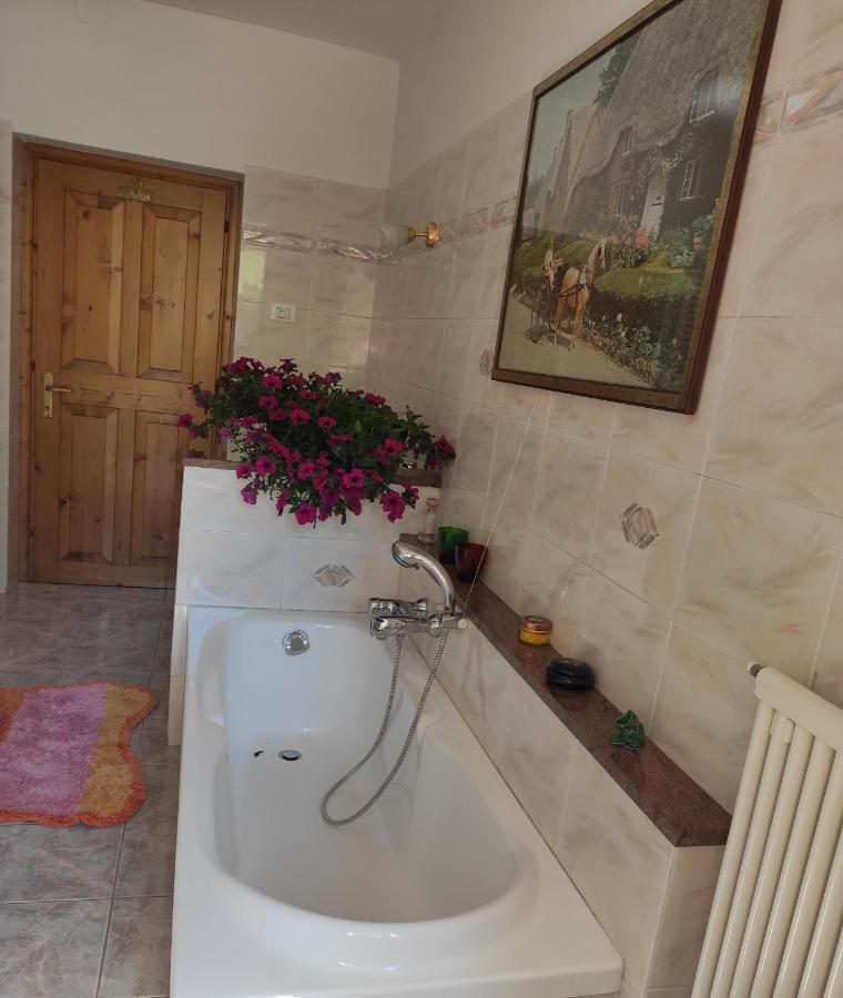 Apartmán Casa "Berto E Costantina" Tregiovo Exteriér fotografie